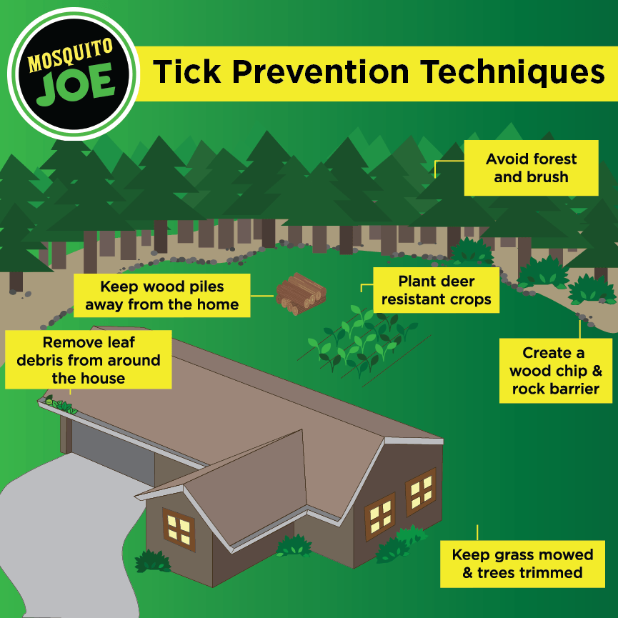Infographic with tips for tick prevention